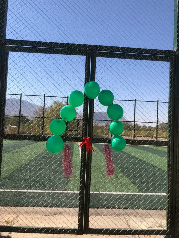 افتتاح زمین چمن